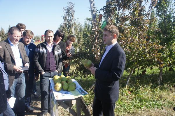  Агрохолдинг “Сварог Вест Груп” намерен увеличить мощности хранения фруктов вдвое