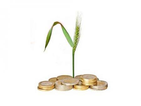  Аграрная отрасль остается приоритетной для украинских банков – министр Павленко