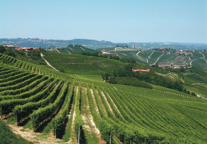  Винодельческие зоны Италии признаны памятником всемирного наследия ЮНЕСКО