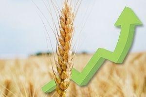  Аграрии попросили Яценюка о расширении бюджетной поддержки