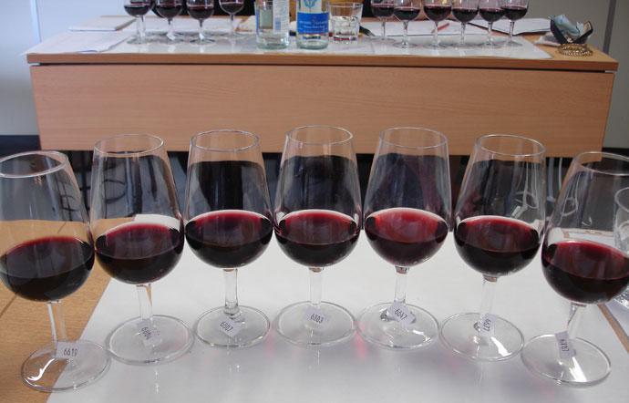  В рамках выставки «Винорус. Винотех» пройдет конкурс молодых виноделов «ВинОлимп»