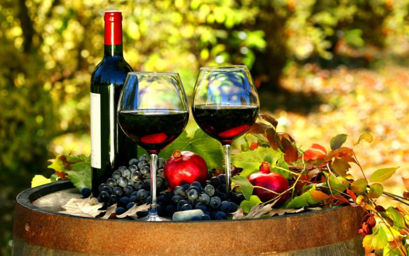 Одним из приоритетов Украины является развитие виноградно-винодельческой отрасли – МинАгро