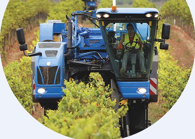  Международная выставка техники и оборудования для виноделия и овощеводства SITEVI – 2015