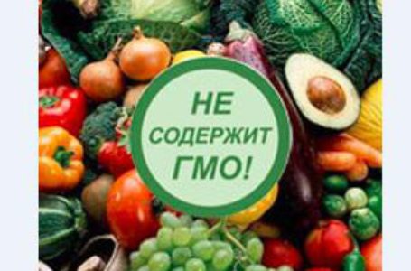 В России запретили использовать ГМО в агропромышленном комплексе