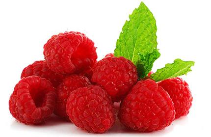  Киев собрал рекордное количество профессионалов ягодного рынка