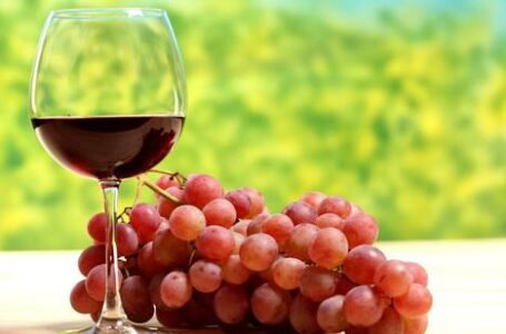 Россия может войти в топ-10 производителей вина и винограда