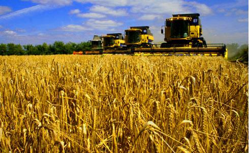  Европейский банк профинансирует аграрные проекты в Украине