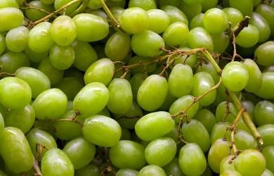  В мае Украина импортировала винограда больше, чем экспортировала