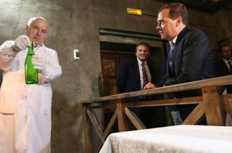 Россия: Дмитрий Медведев и Павел Швец поговорили о крымском виноградарстве и виноделии