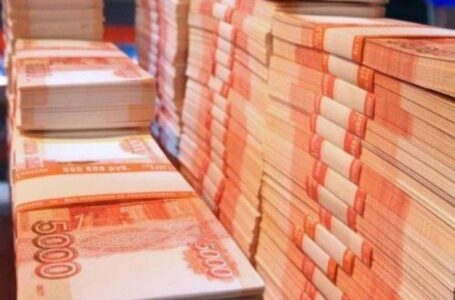 Аграрии Дагестана получили 95 млн. руб. на развитие виноградарства в 2015 году