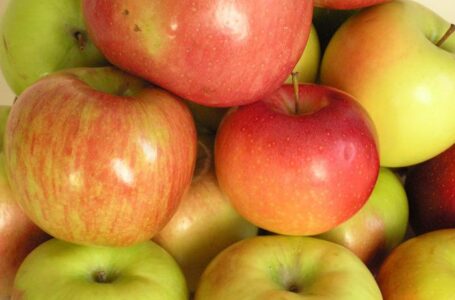 В Украине ожидают рекордный урожай яблока