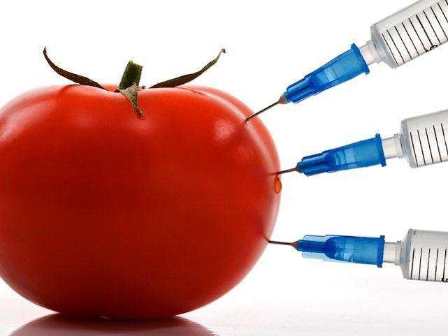  Азербайджанцев оградят от ГМО-продукции