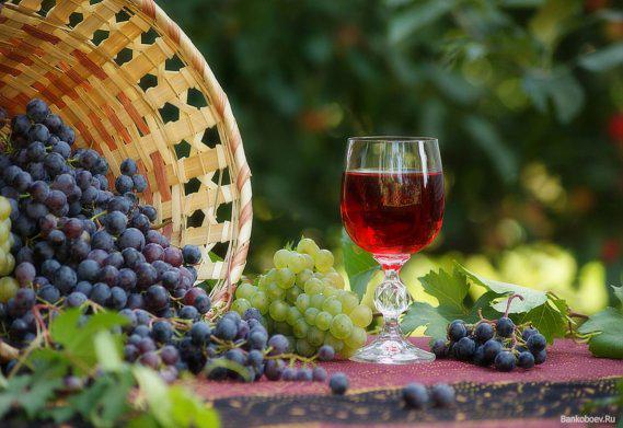  Урожай столового винограда в Молдове
