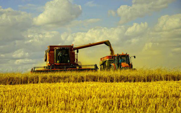  Аграрии Украины могут потерять налоговые льготы