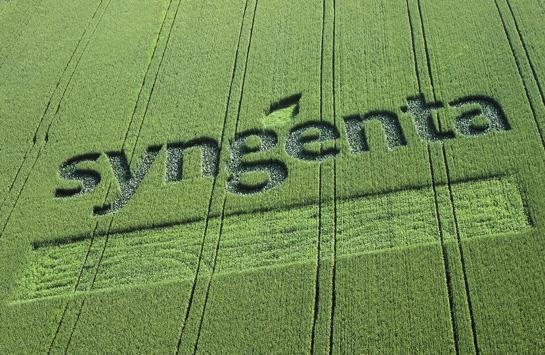  Агрохимический концерн Syngenta планирует выкупить свои акции