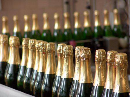  На Кубани возрос объем производства коньяков и шампанского