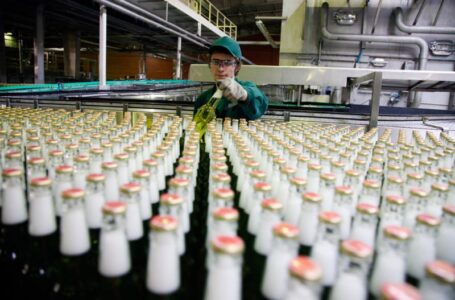 В Украине за 8 месяцев производство пива составило 23,1%