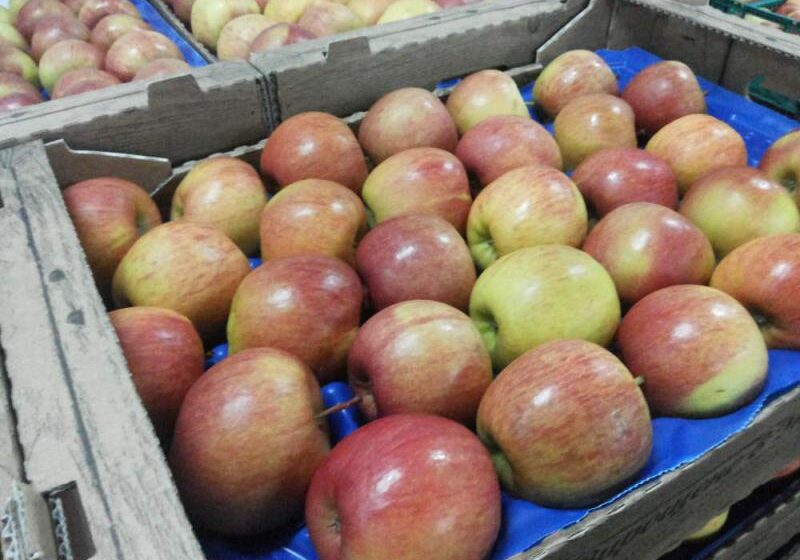  Молдова активно наращивает экспорт яблока в Казахстан