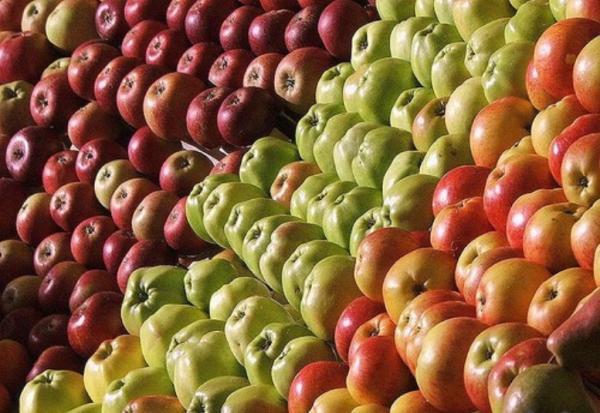  Беларусь увеличила импорт яблок из Украины в 18 раз