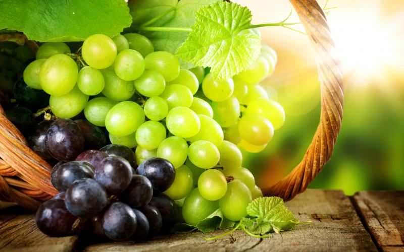  Всеукраинская научно-практическая конференция для виноградарей и виноделов Украины пройдет в феврале 2016 года