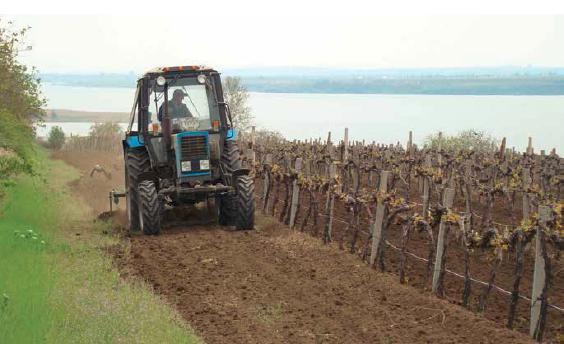 Земельный Союз Украины: «Снижение уровня коррупции в земельной сфере – одна из   основных задач для Украины»