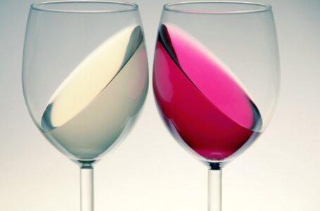 На Дону развивается винный территориальный кластер «Долина Дона»