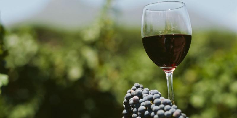  Продажи вин Rioja в 2015 году вырастут до 282 миллионов литров