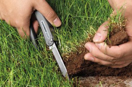 В Украине за год на аукционах продали права аренды почти 28 000 гектаров земель