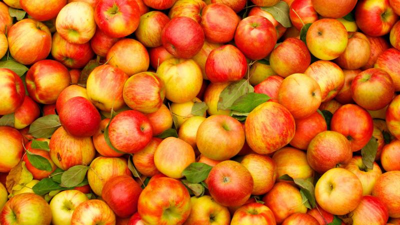  Молдавские яблоки не выдерживают ценовой конкуренции с польскими