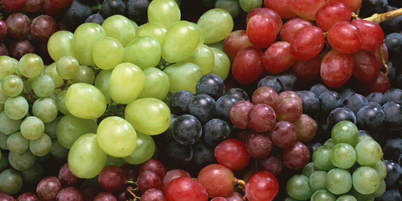  Эксперты прогнозируют хороший урожай винограда в Молдове