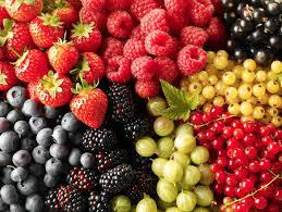 19 апреля пройдет пресс-конференция  «Потенциал экспорта органических ягод в ЕС»