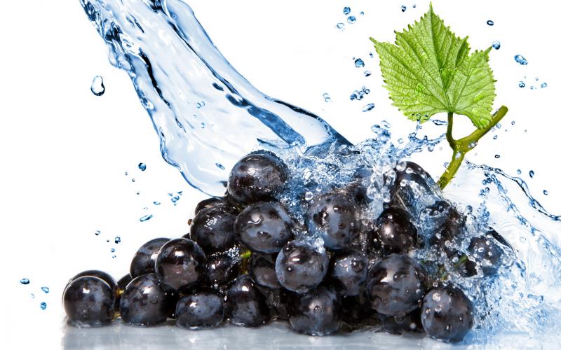  Восточная Грузия намерена сократить зависимость от винограда