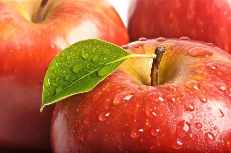  Винницкая область в 18 раз увеличила экспорт яблок в Беларусь