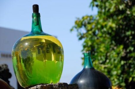 В Китае зарегистрируют грузинское географическое обозначение «чача»