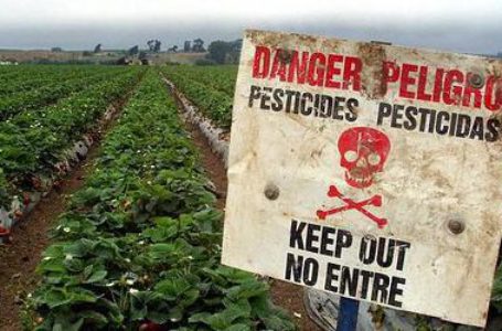Французский город запретил использование пестицидов