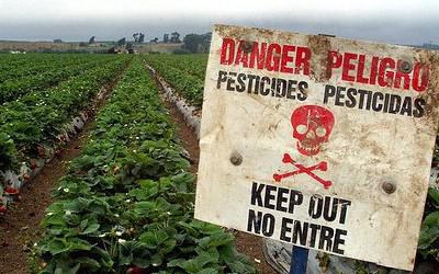  Французский город запретил использование пестицидов