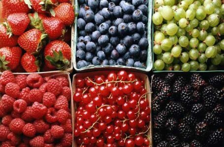 В Великобритании растет потребление и производство мягких ягод