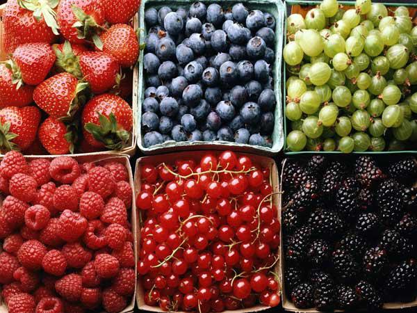  В Великобритании растет потребление и производство мягких ягод