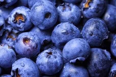 В Украине стартовали продажи самой дорогой ягоды