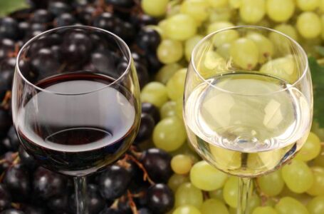 Госдума снизила госпошлину за лицензию на производство вина из винограда РФ