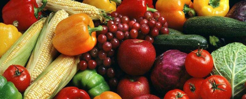  Новейшие технологии для ведущих производителей овощей и фруктов Казахстана – 20-21 октября, Алматы