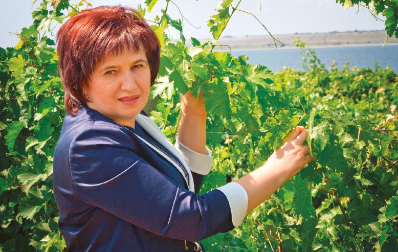  Вера Козливская, винзавод «Коблево»: «С самого начала ми делаем ставку на техническое усовершенствование производства –  для максимально высокого и стабильного качества продукции»