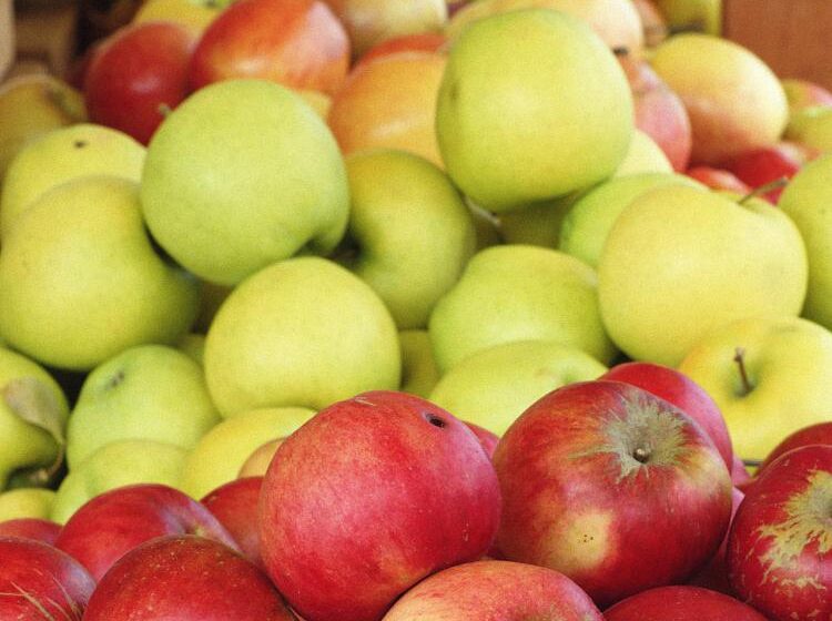  Садоводы Казахстана вынуждены снижать цены на яблоко