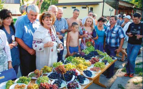  Завершение лета в Приднепровье – это фестиваль винограда и вина