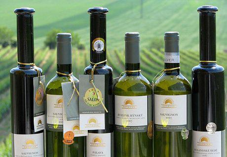  Чешское вино признано одним из самых доступных в мире