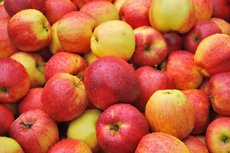  Польша снижает экспорт яблочного концентрата в 2016 году