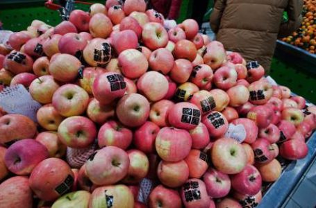 Китай в текущем сезоне планирует экспортировать рекордный объём яблок