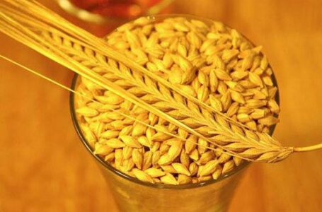 За 2 месяца Украина экспортировала больше пивоваренного ячменя, чем за последние 6 лет