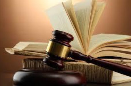 Новый закон об органическом производстве даст толчок для развития отрасли в Украине