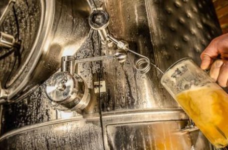 Украина наращивает производство солода